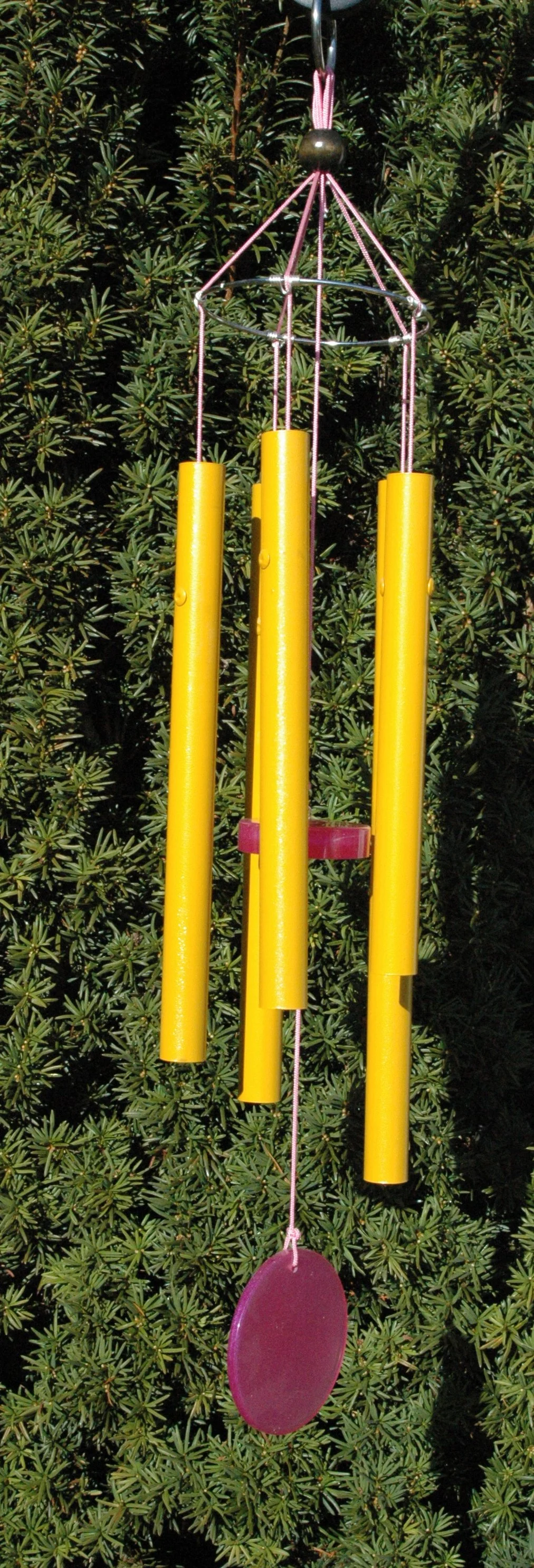 Medium, Sunrise Yellow, W5