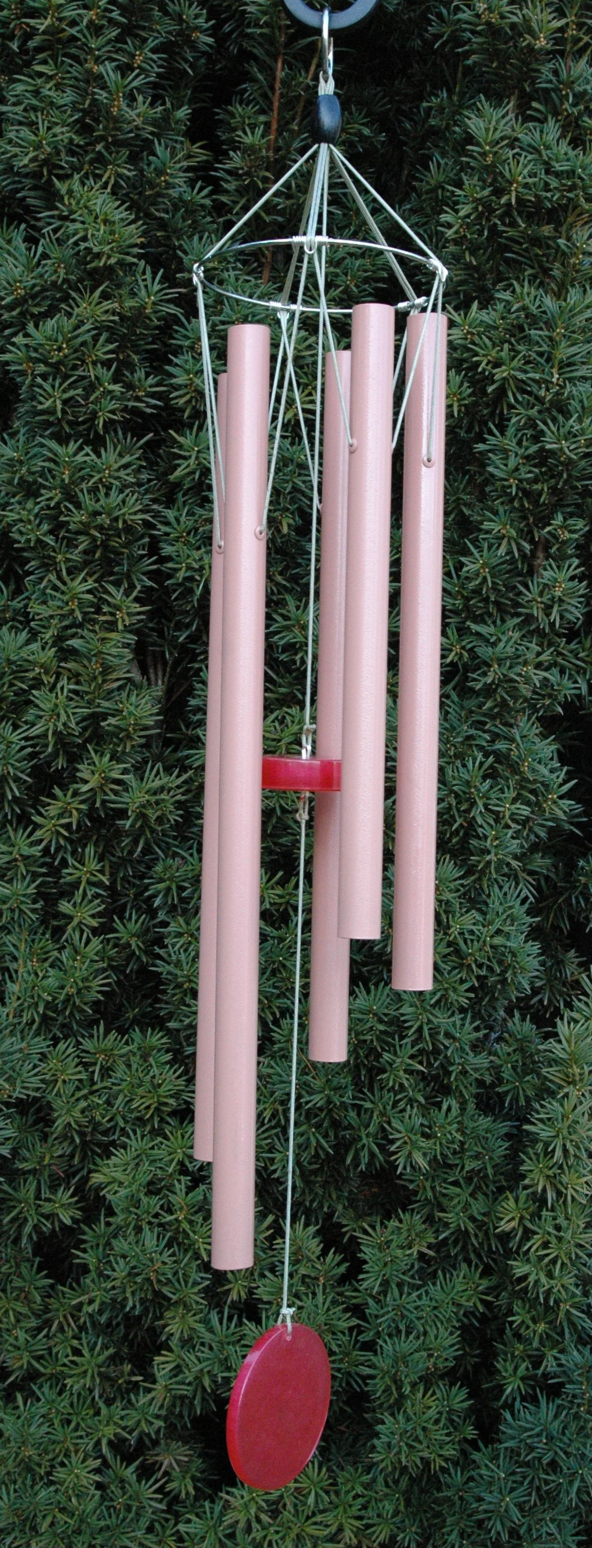 Small, Coral Pink, W5