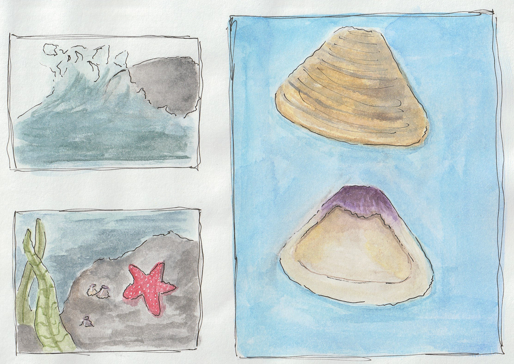 Sea Creatures Pt 2