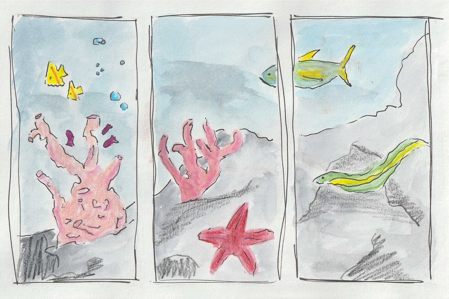 Sea Creatures Pt 3