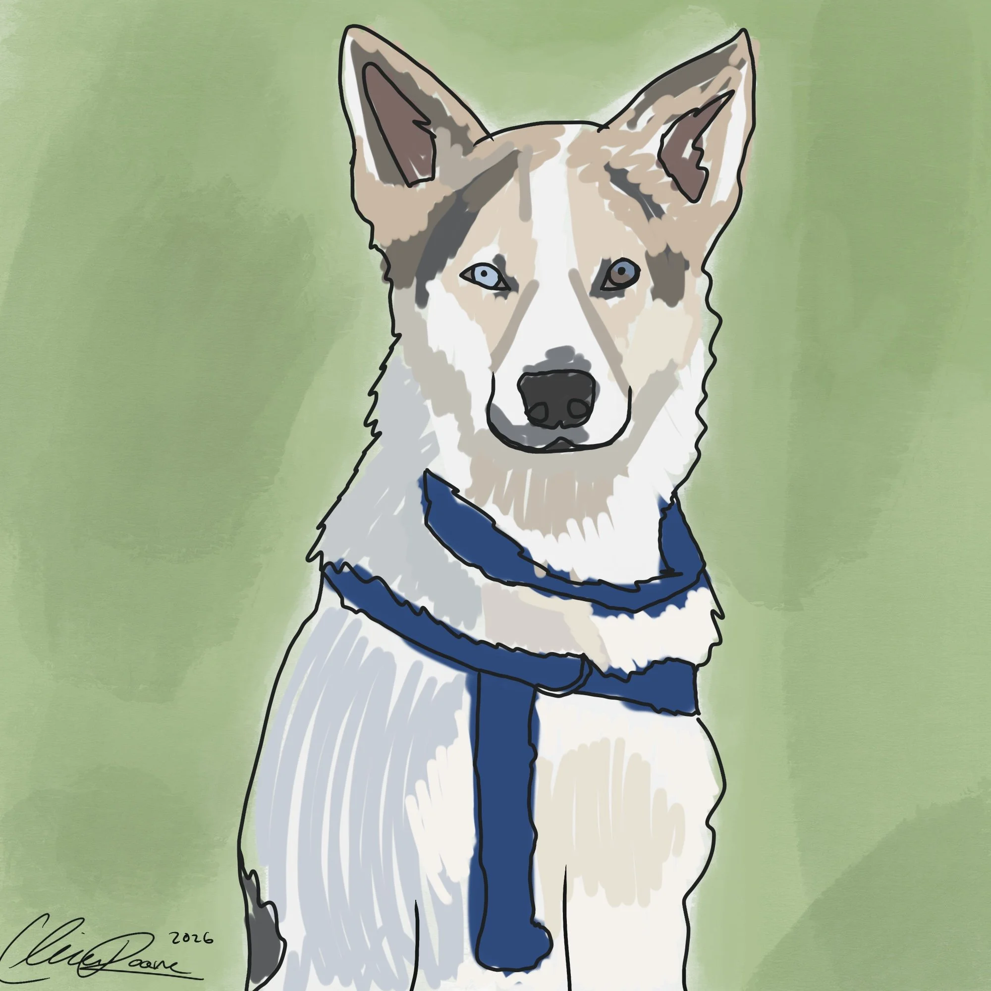 Dog Portrait for the SPCA