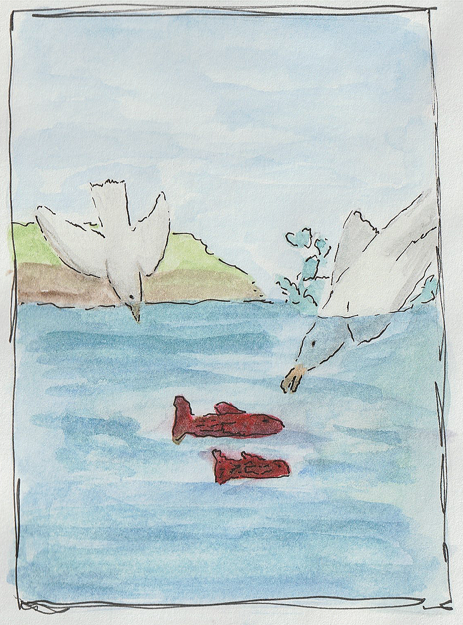 Illustrations