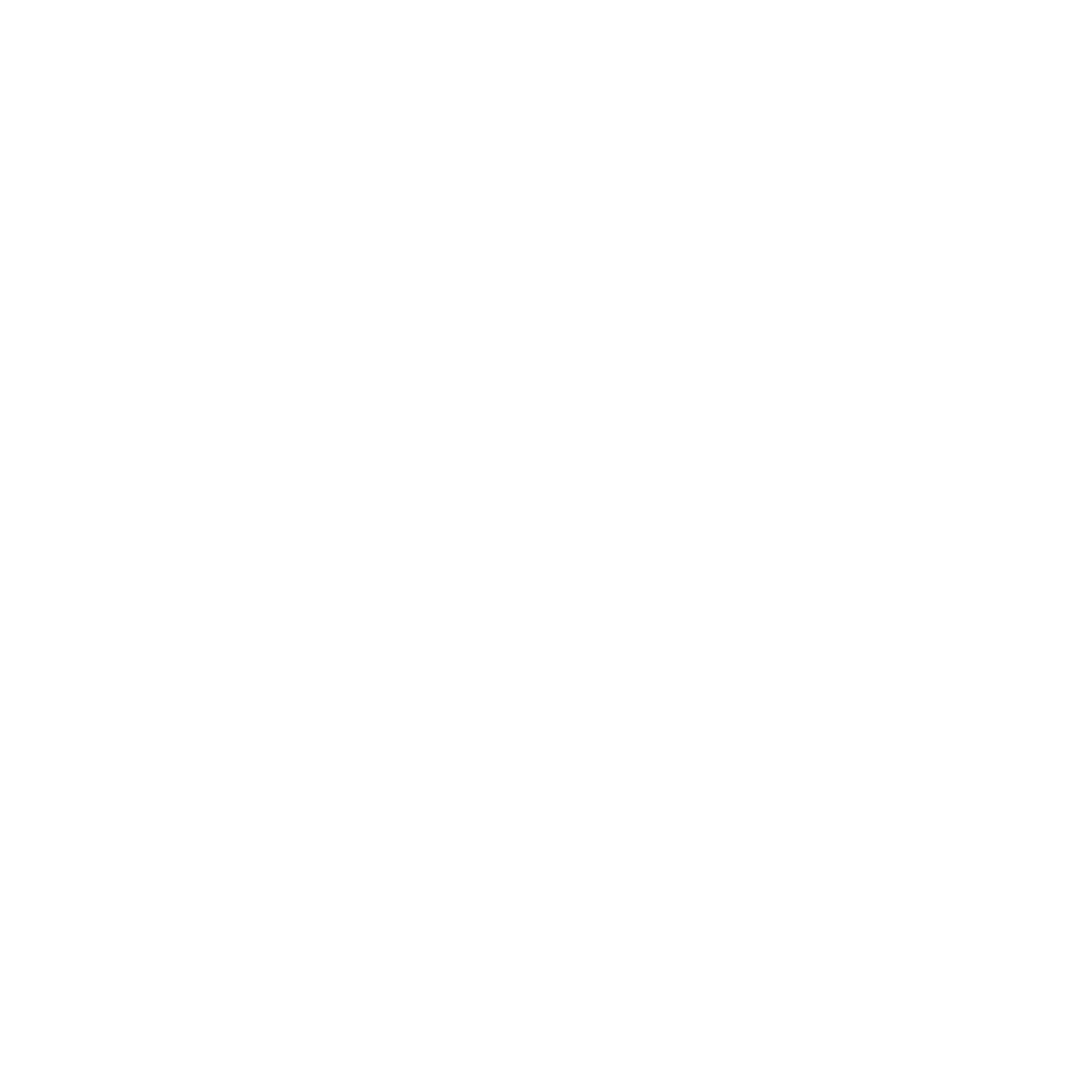 no-flip-certificate-logo-2