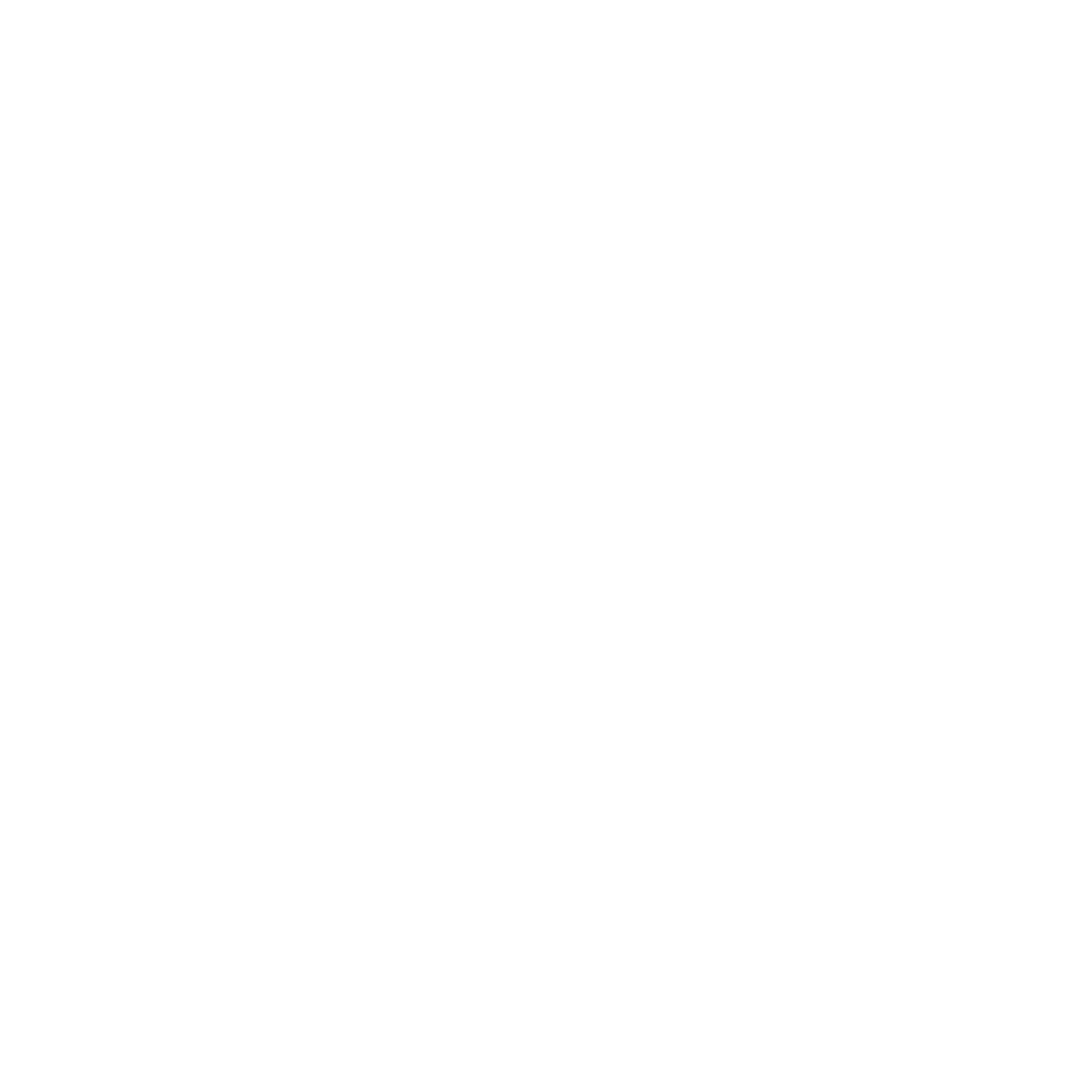 no-flip-certificate-logo-4