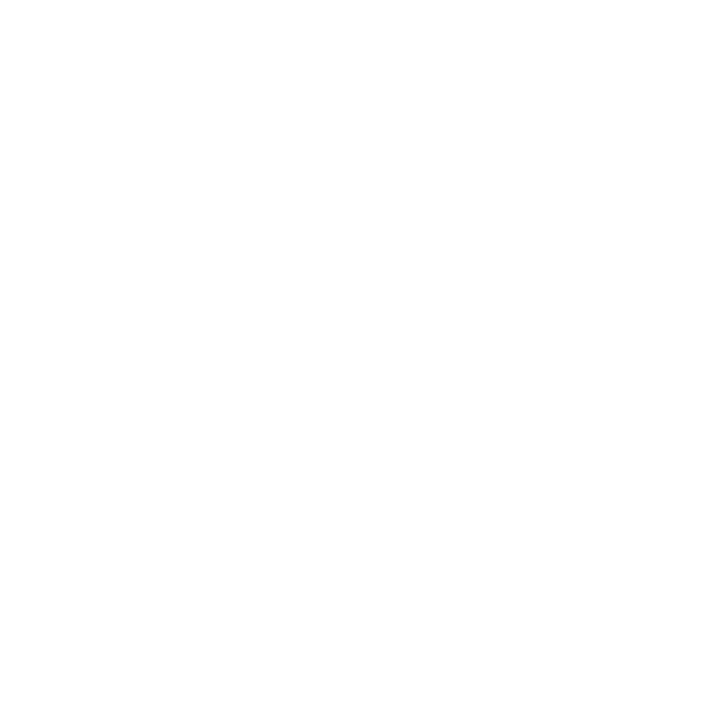 no-flip-certificate-logo-1