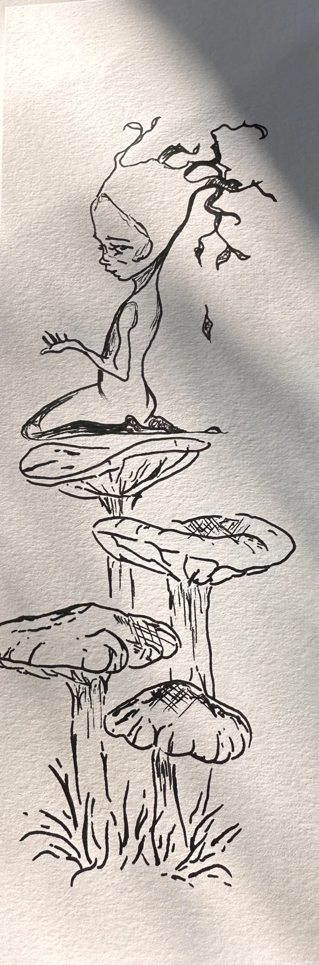 Shrooms