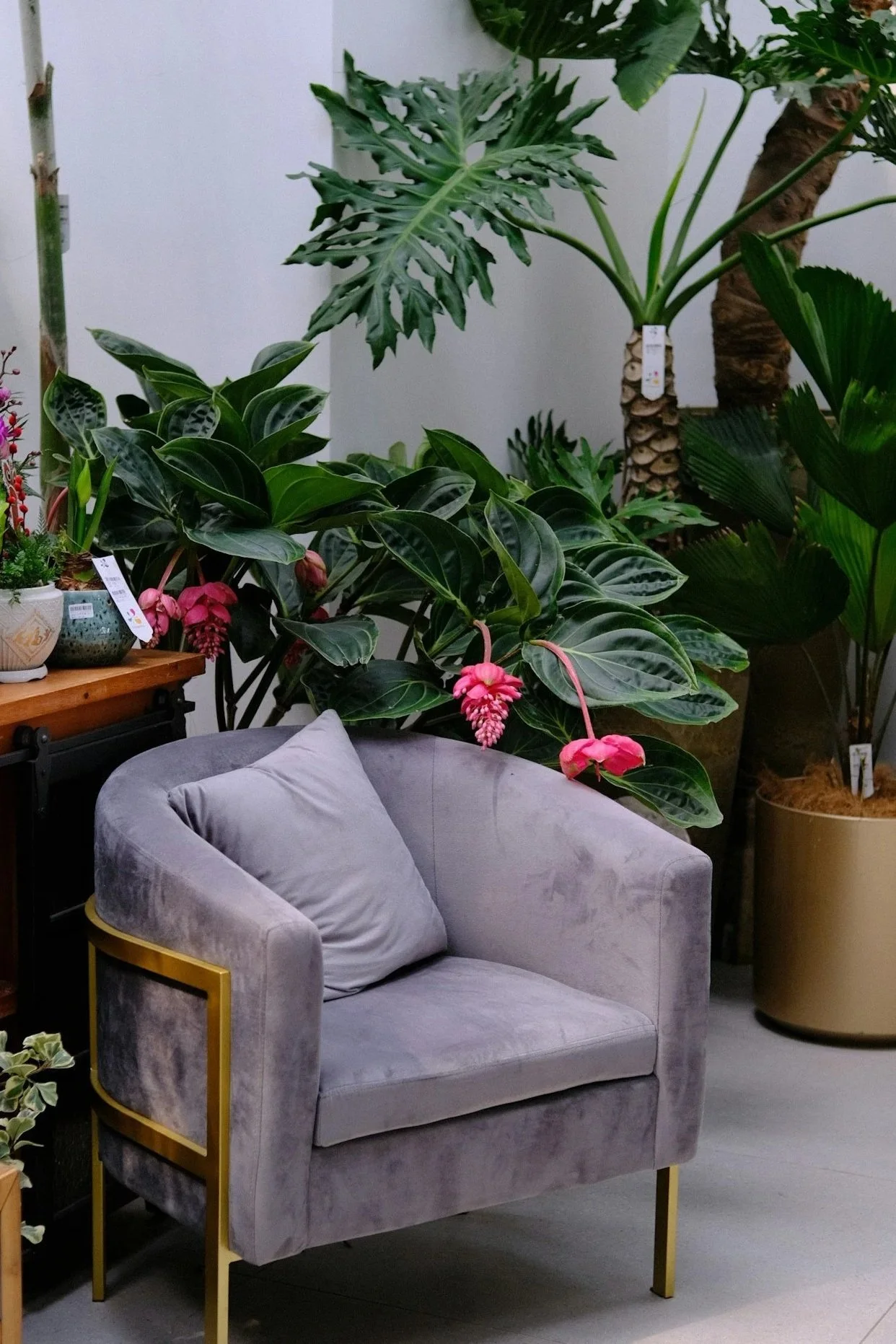 A Practical Guide to Mental Health Professionals in Alberta — What They Do, How  They’re Trained, and How to Find Them