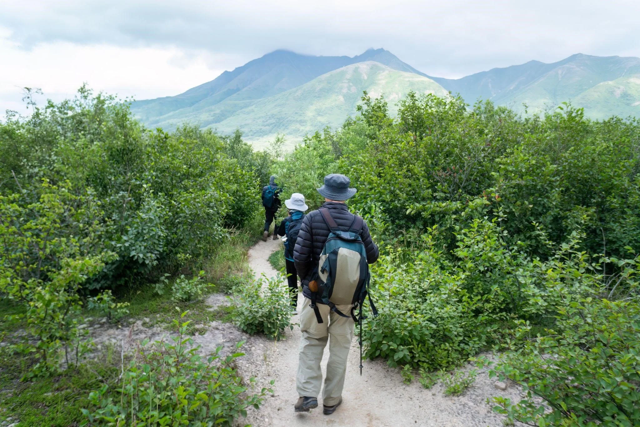 Hikers with backpacks walking along a trail in Alaska.
