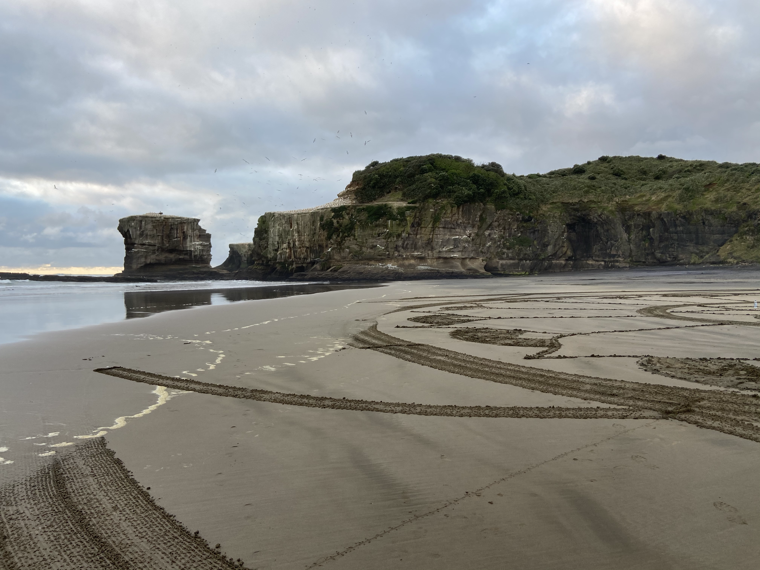 Muriwai_Tide_08.png