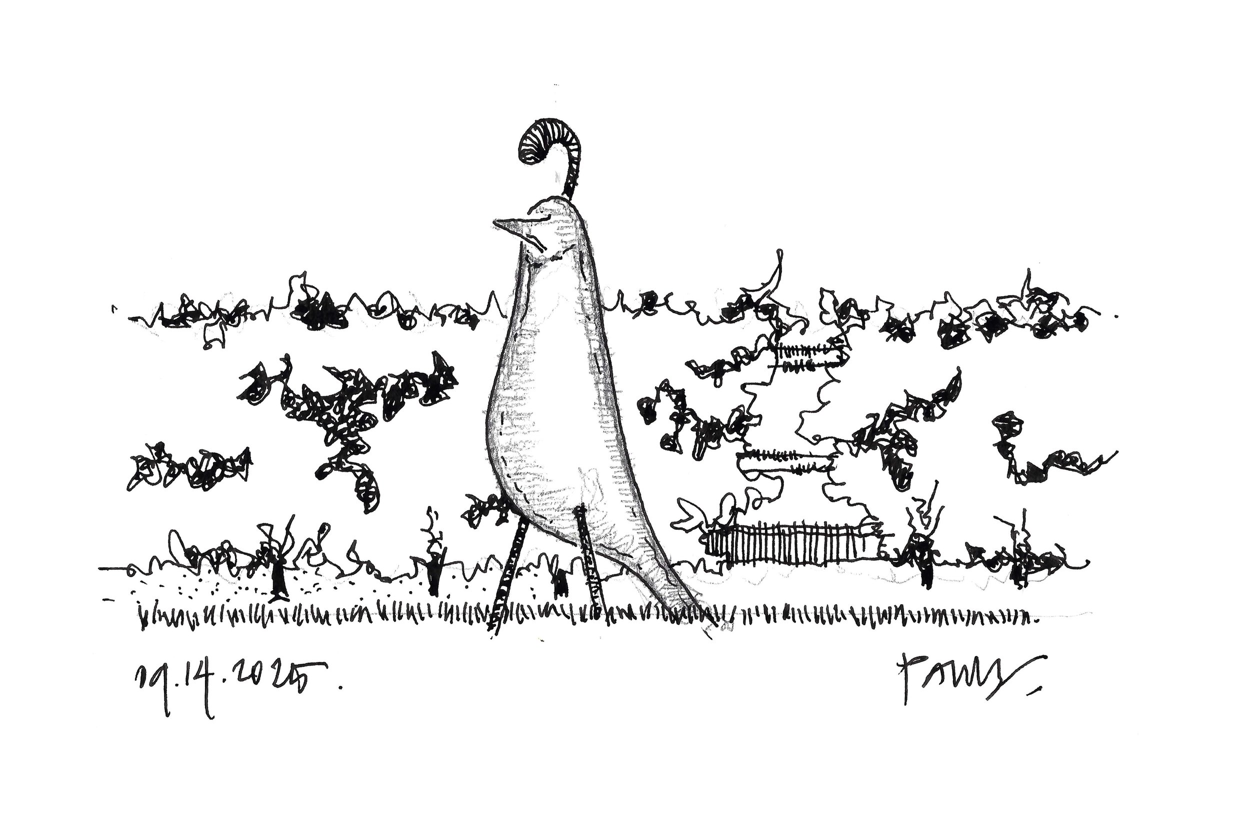 SANDPAPER BIRD.jpg