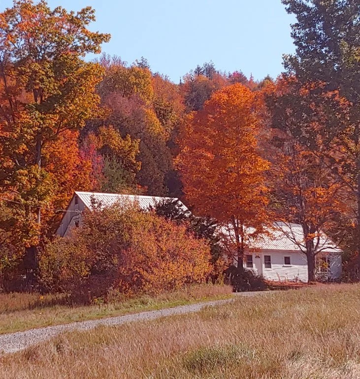 Fall foliage and the Craftsbury Farmhouse of Kurtis Mellet and Margot Mellett