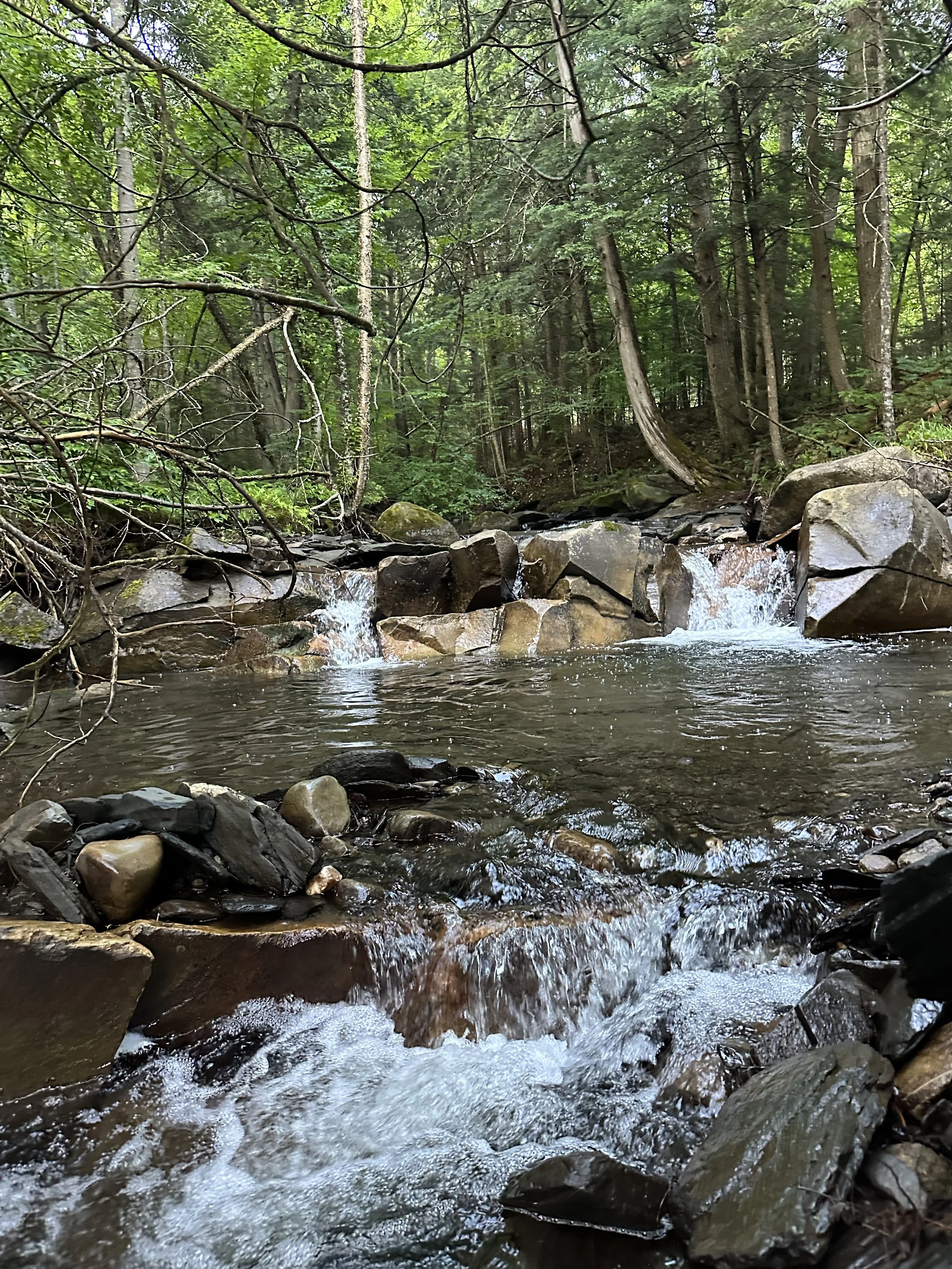 Craftsbury VT Brook near Kurtis and Margot Mellett's home in Craftsbury VT