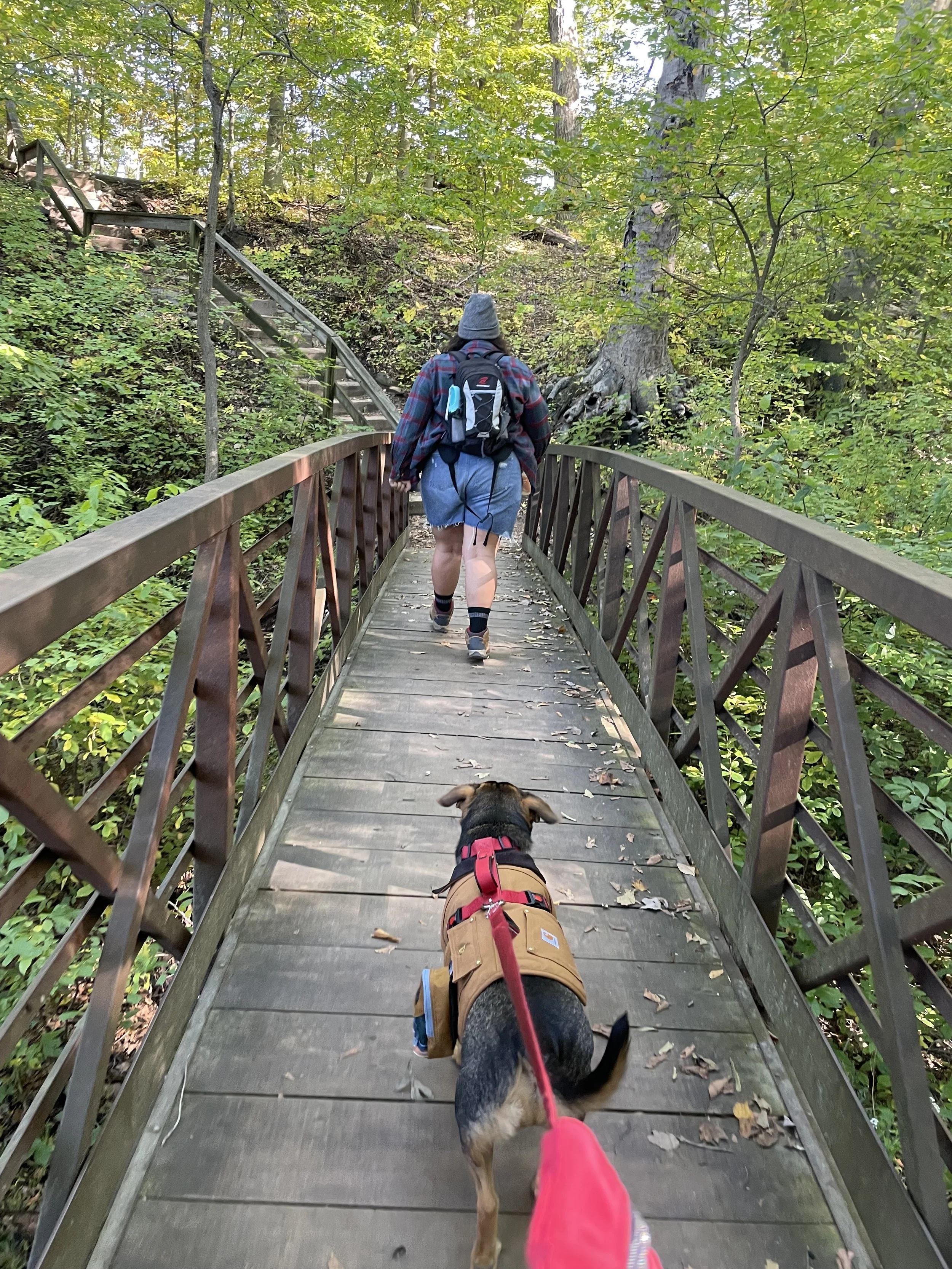 Person walking on a wooden bridge in a forest with a dog on a red leash.