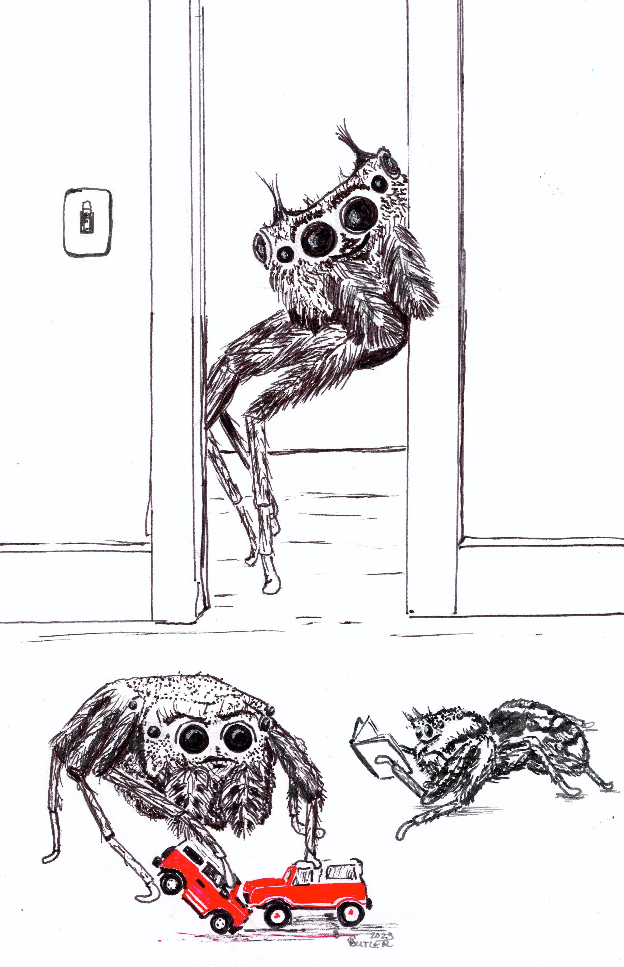 SpidersHR.jpg