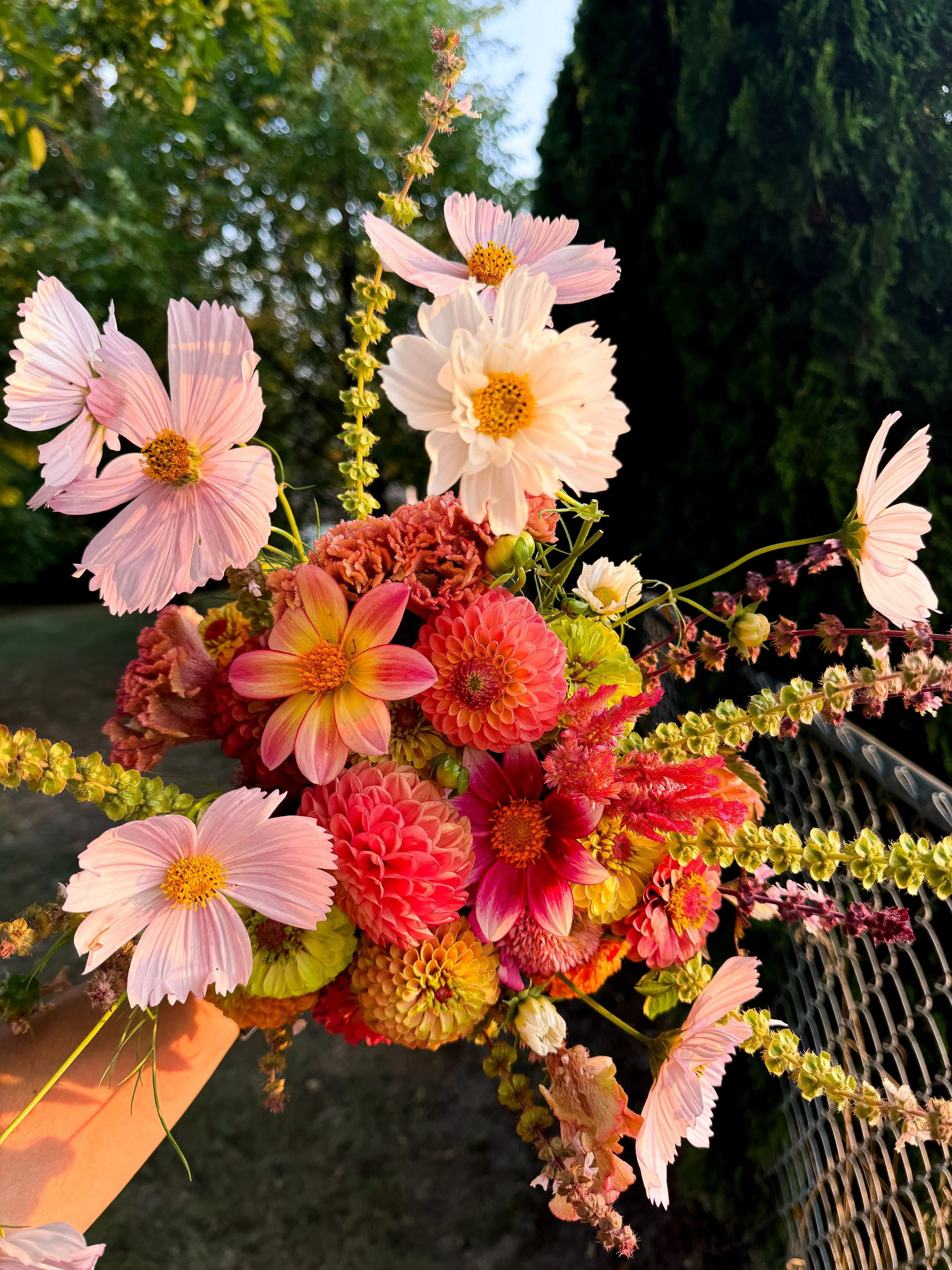 9FE1C0CA-5D3F-486D-BB15-19913191D32A 2.jpeg