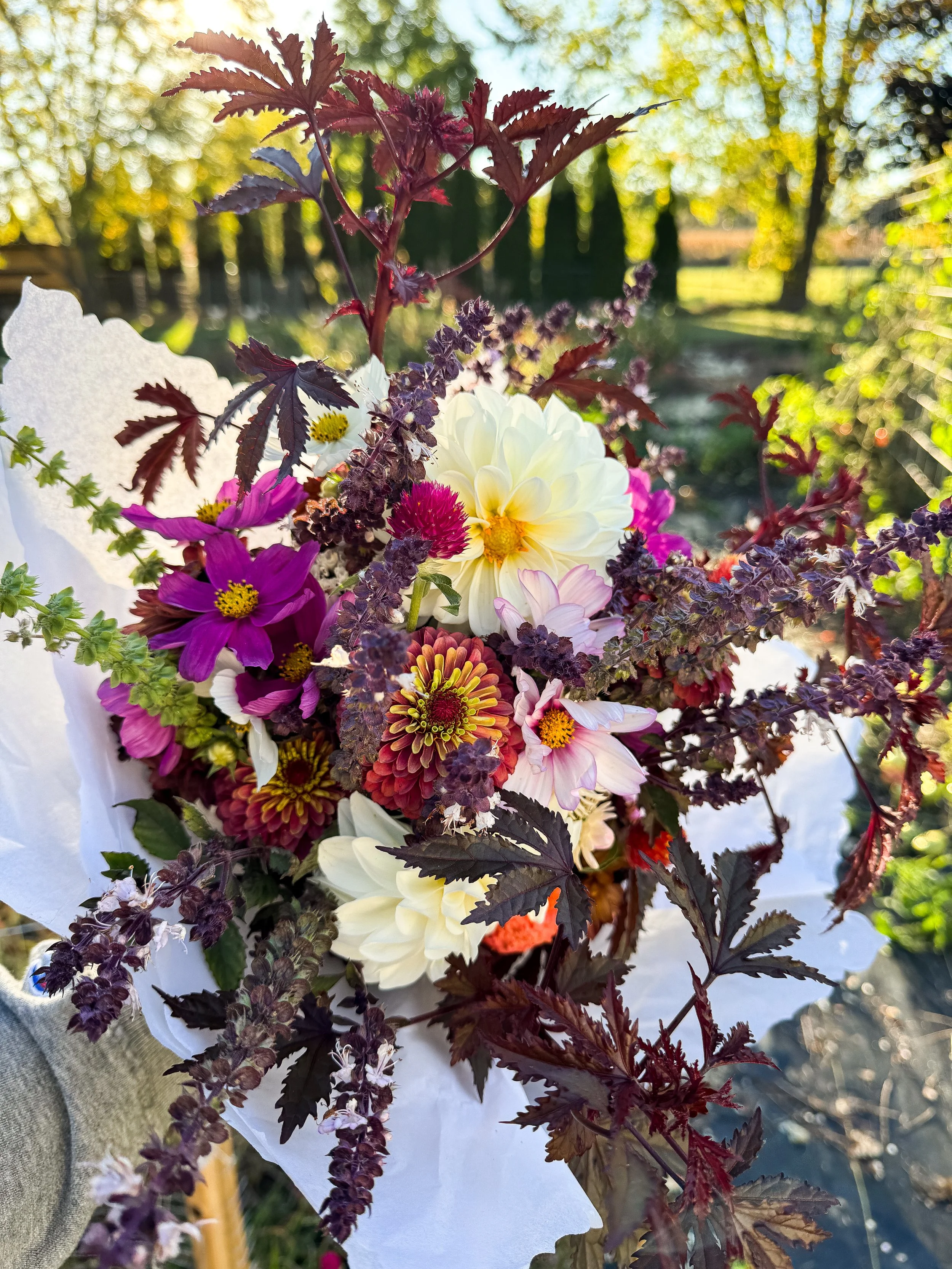 2026 Fall Waabigwan Subscription