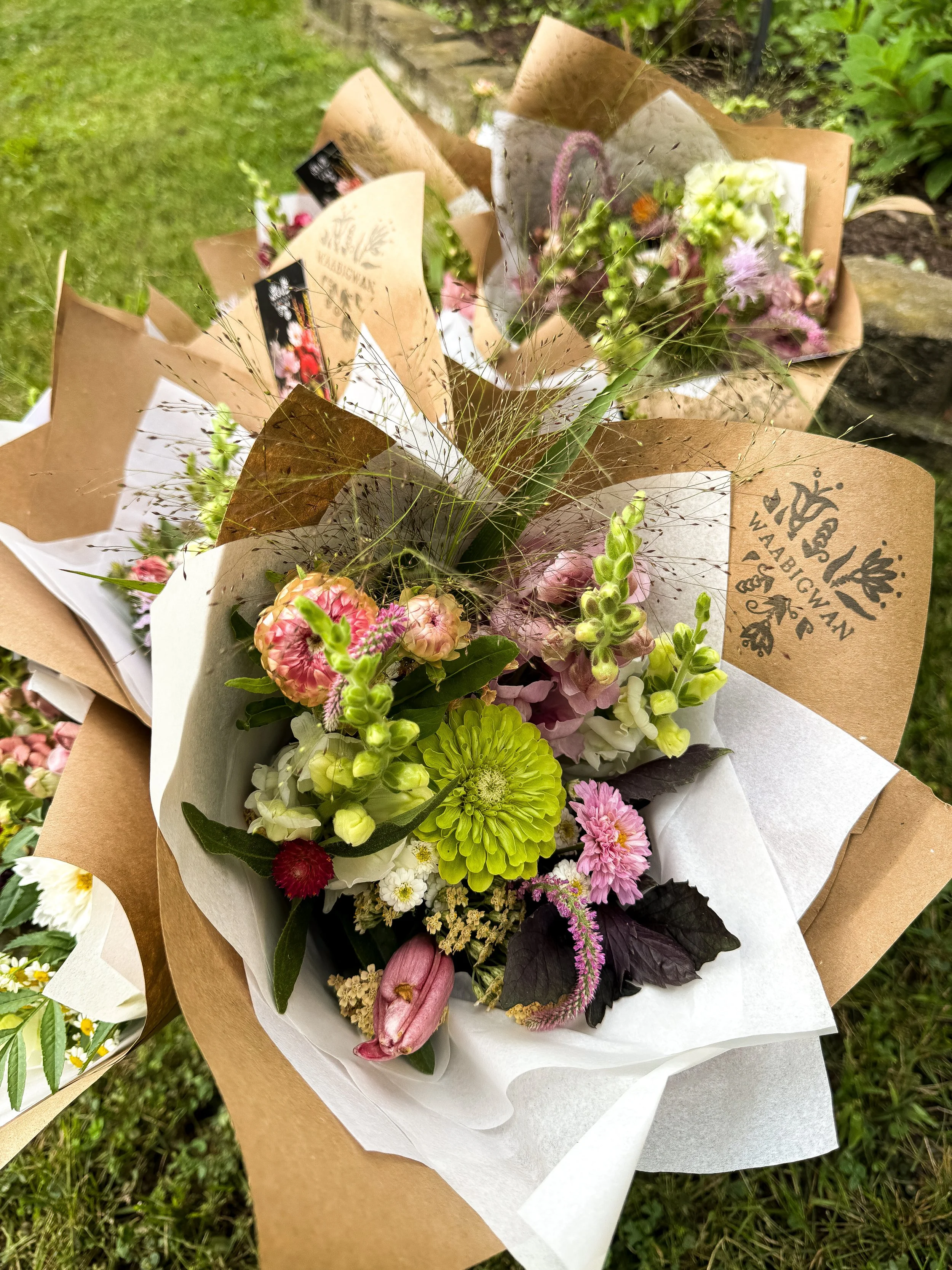 1AB93371-3E9A-434E-BDBC-2078DAA83BDE 2.JPEG