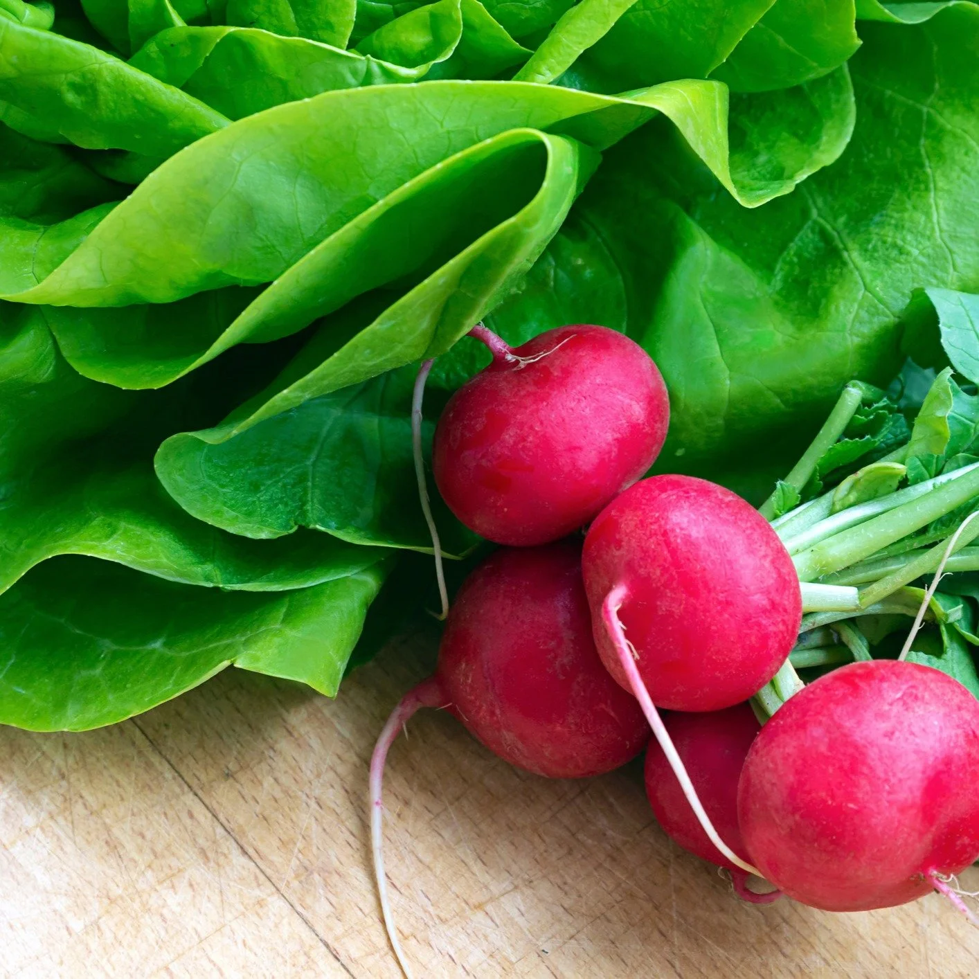 There&rsquo;s something timeless about a simple green salad done well: fresh leaves, crisp vegetables, and a dressing that ties everything together without overpowering it. Salade Verte is the kind of salad that feels effortless yet elegant, whether 