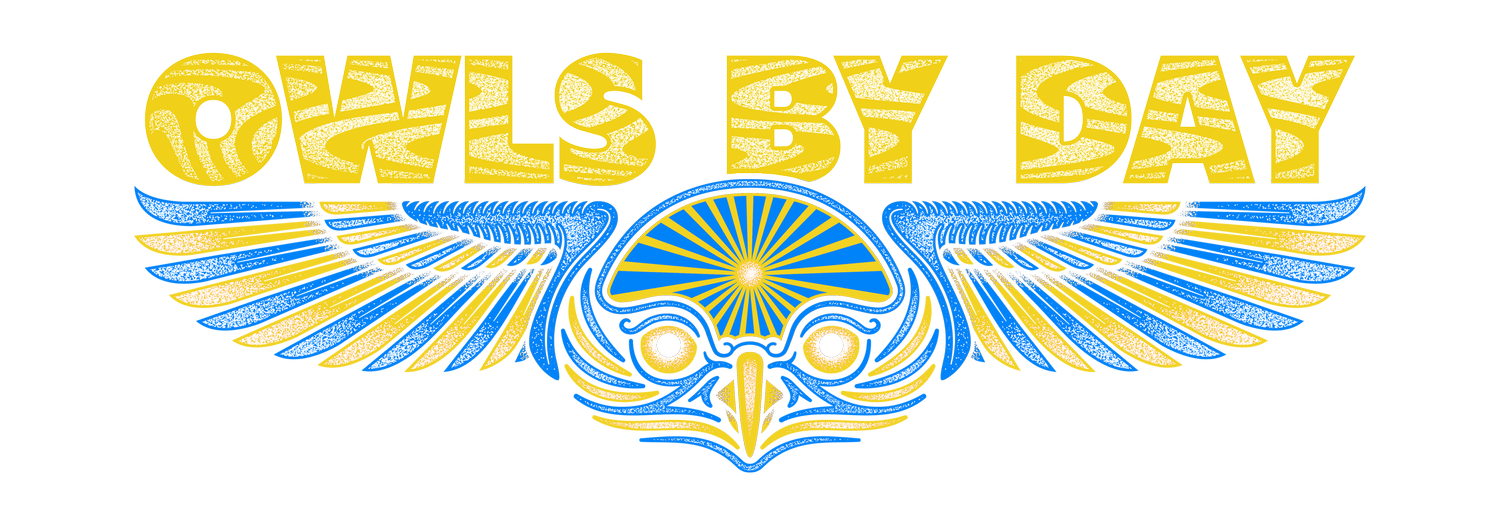 Owls By Day