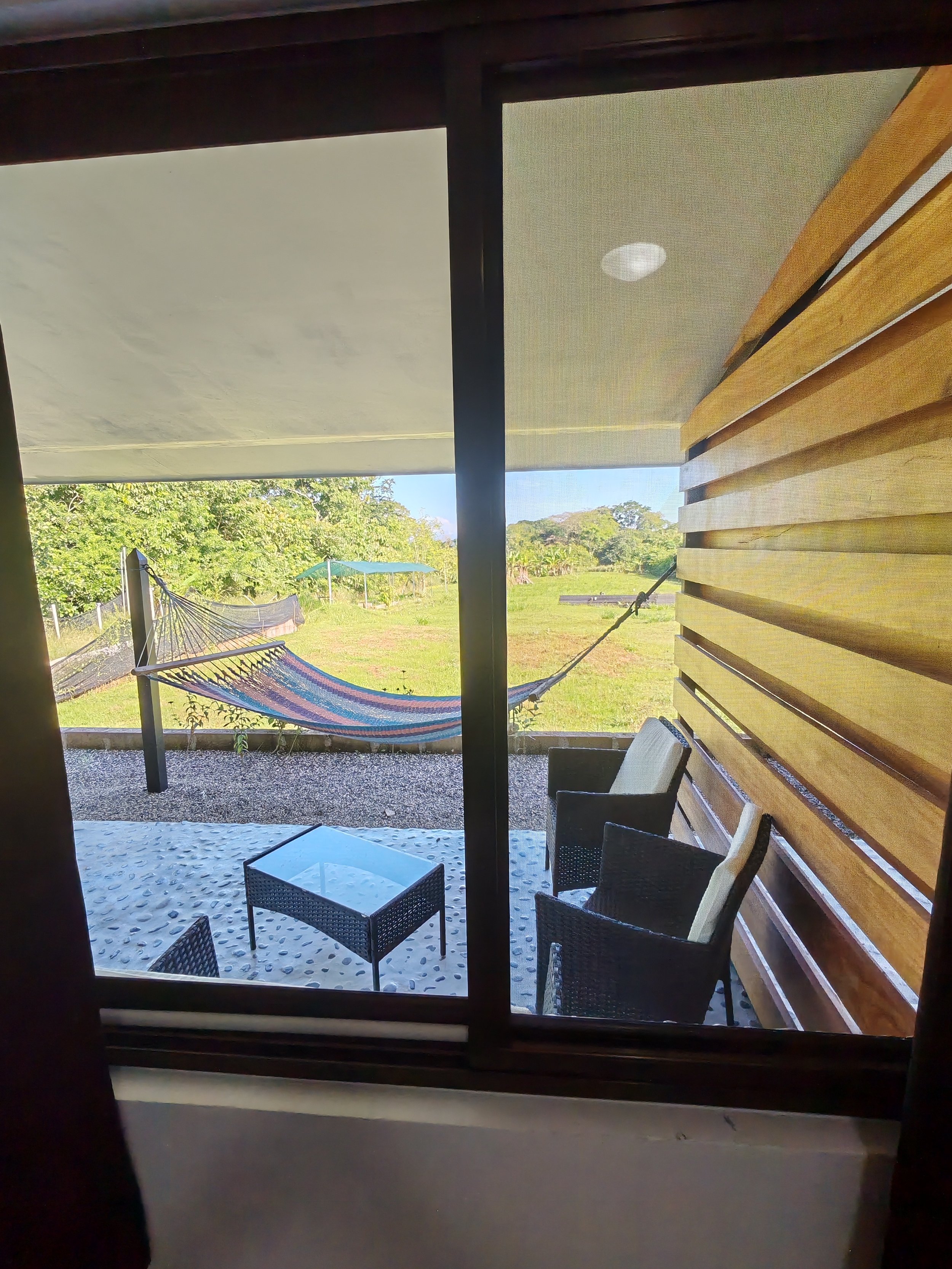 Looking out from the desk