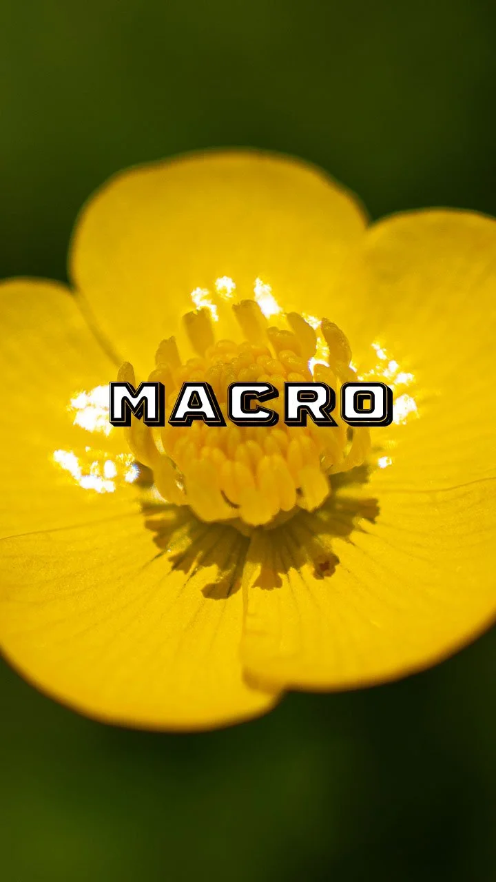 Macro