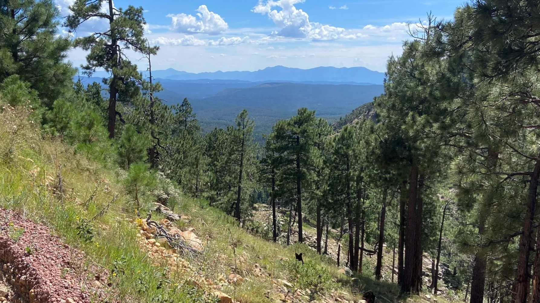 Off Road - Cabin Loop Trail
