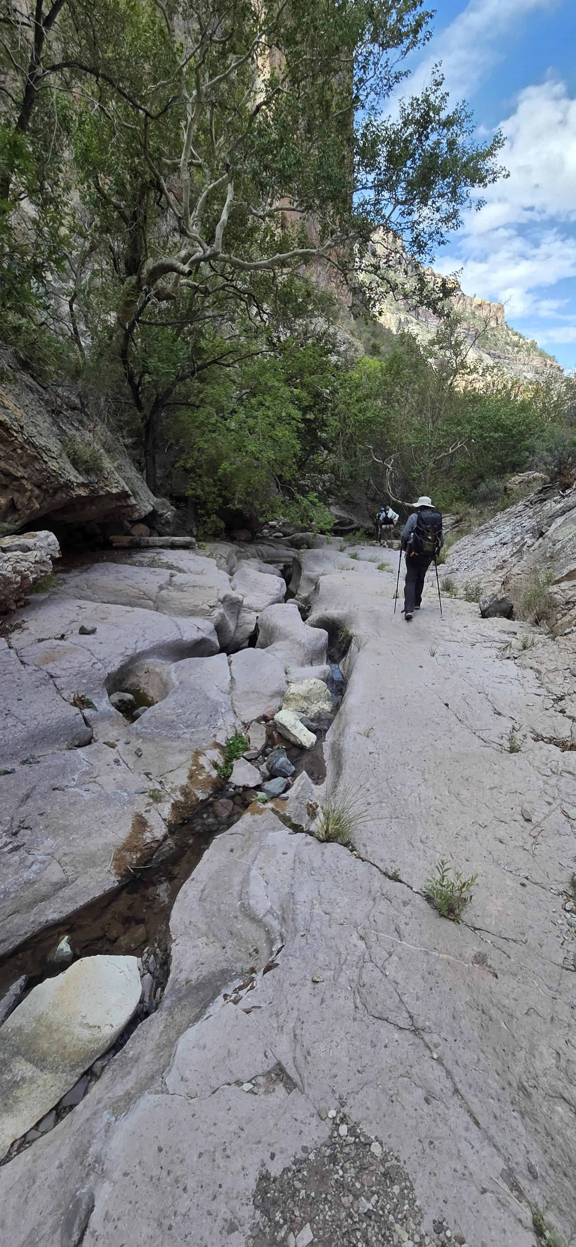 Hikers walking along a rocky trail in a canyon with trees and mountains in the background under a partly cloudy sky.