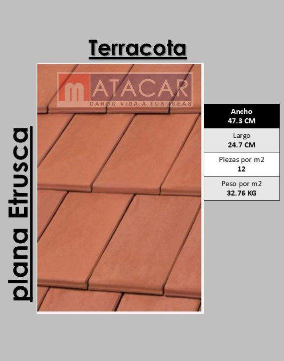 Etrusca plana terracota