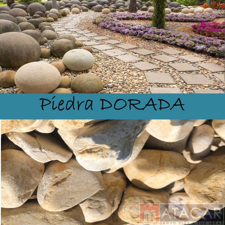 PIEDRA DORADA TAMBOL