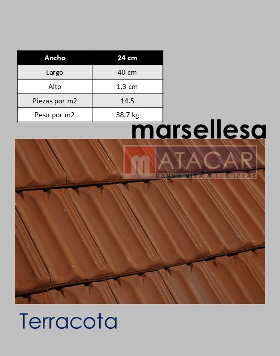 Marsellesa terracota
