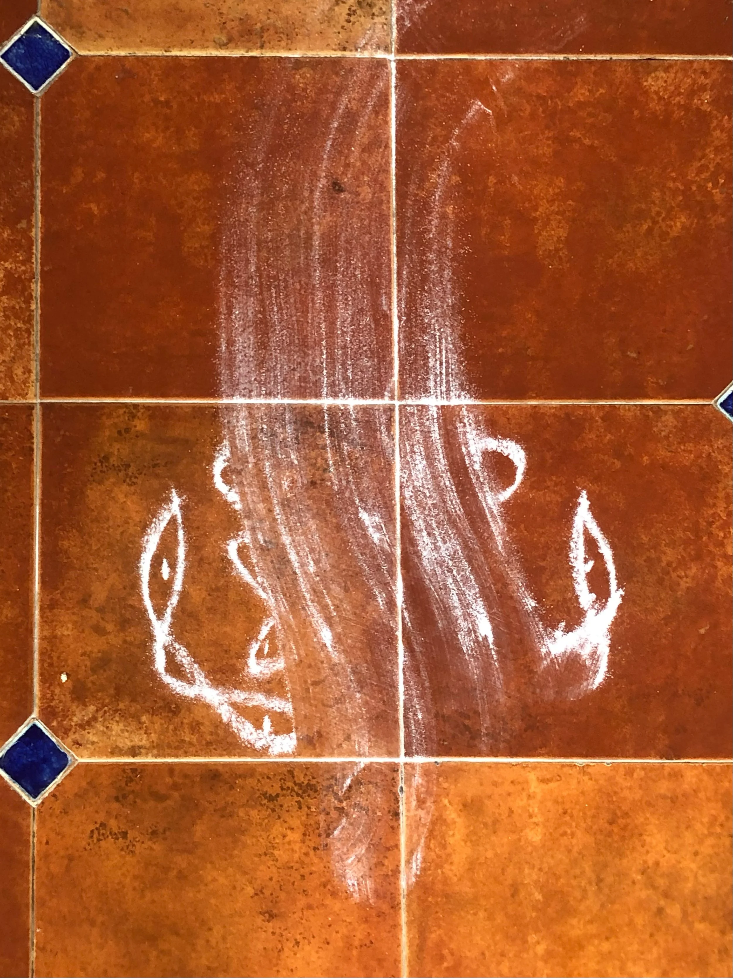 kolam on the ground_for book.jpg