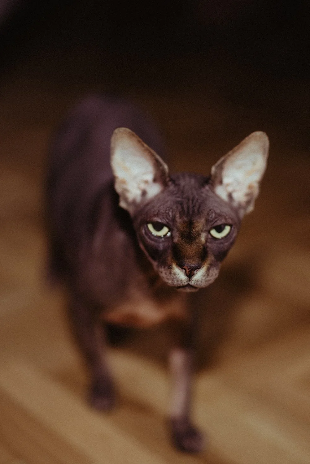 "Kenya, Alma," proyecto fotográfico de Claudia Herrán