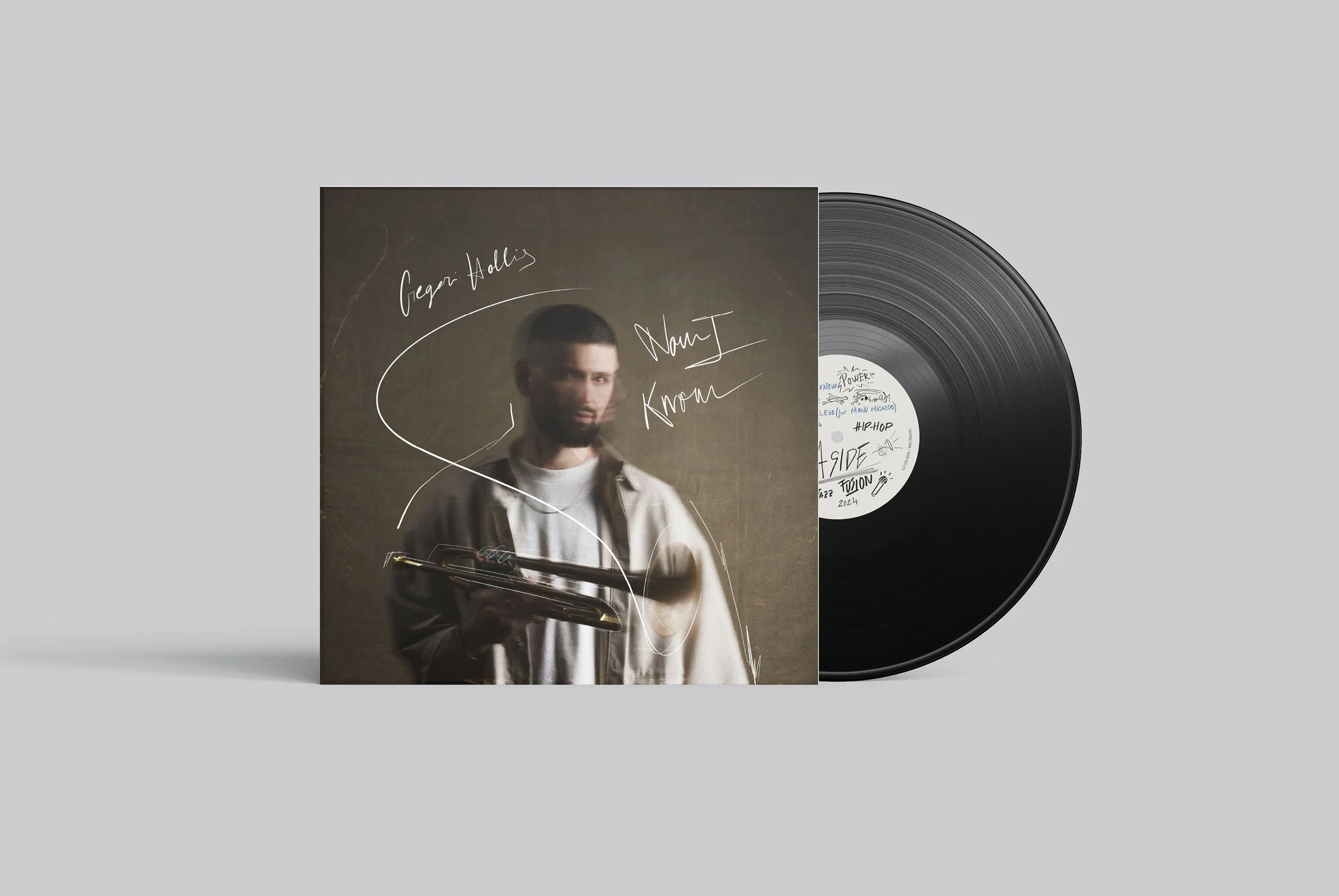 Vinilo Gregori Hollis portada