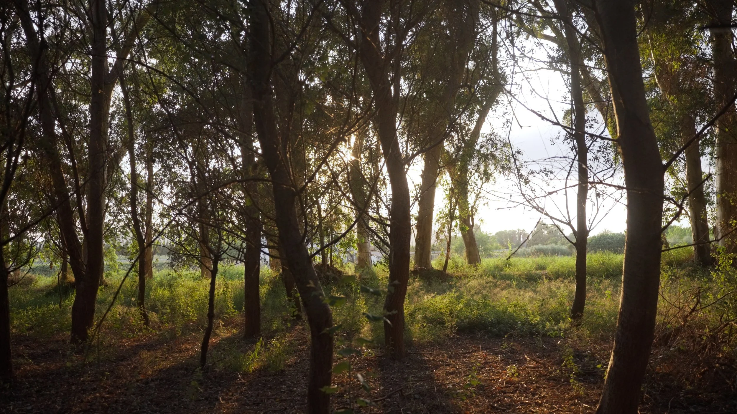 El Paisatje invisible Wayra Ficapal imágenes de Claudia Herrán