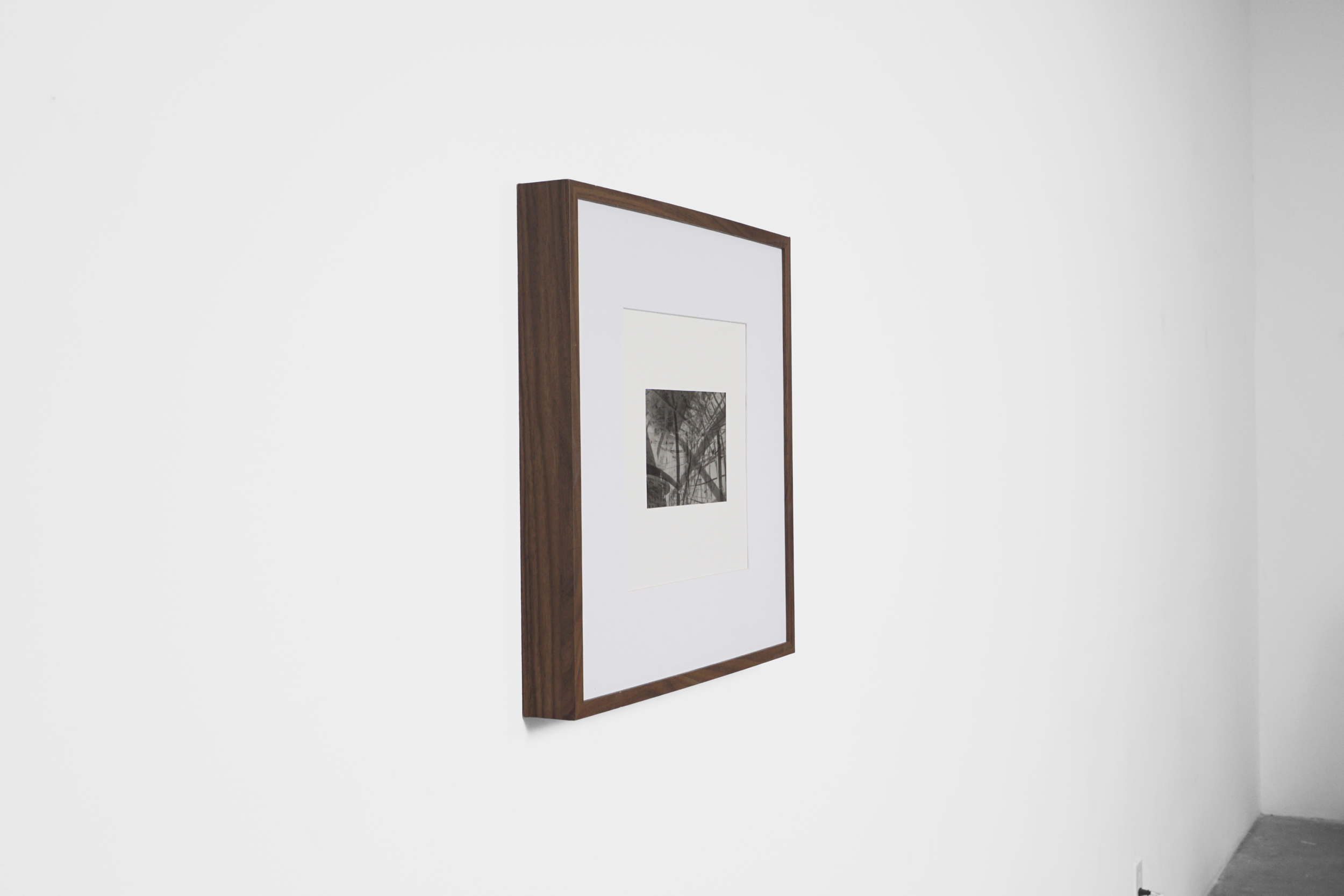 Untitled; bamboo transparency # 2 (2026) 