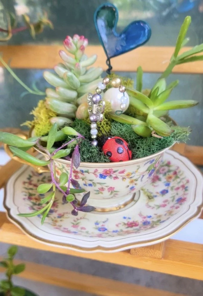Vintage Teacup Succulent