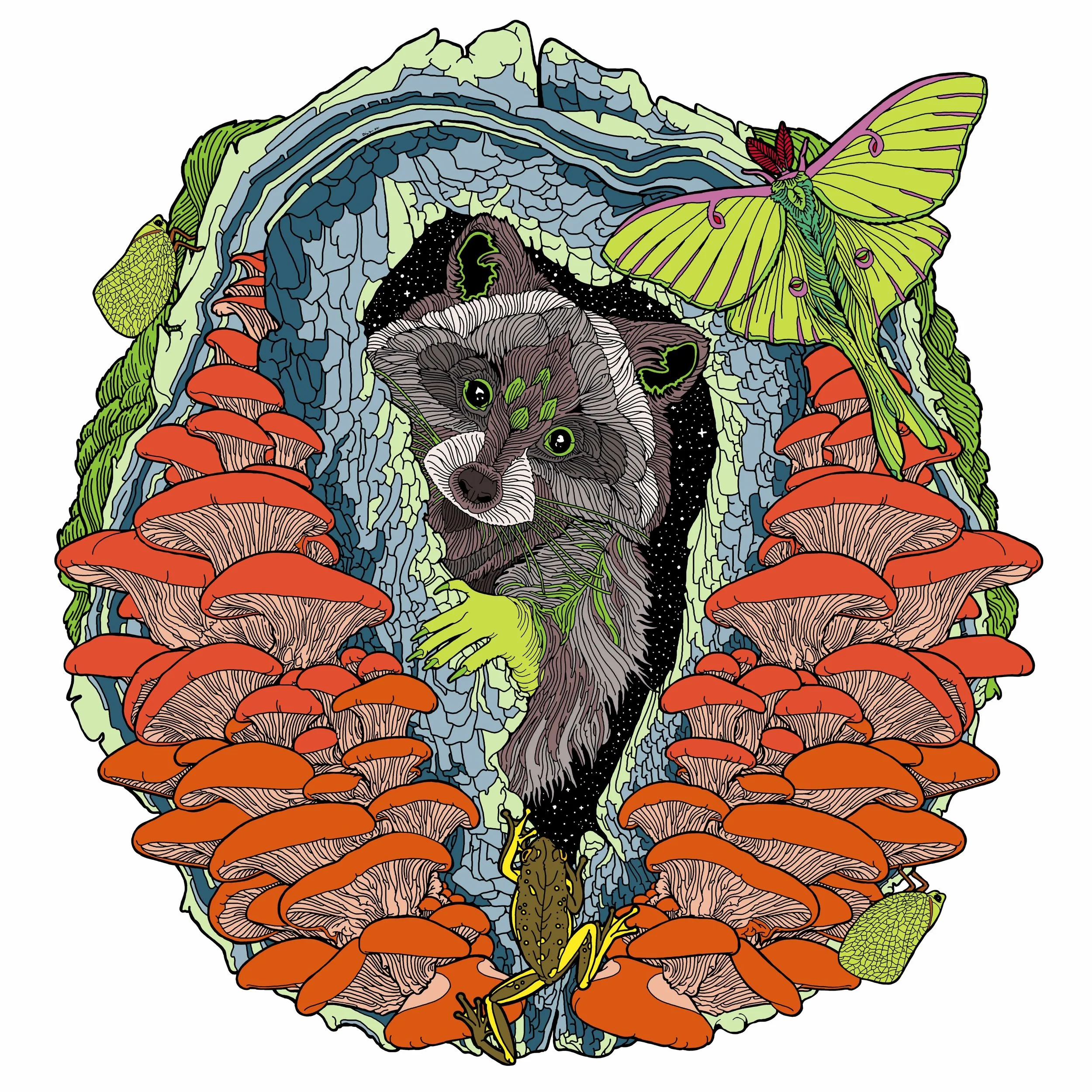 mushroom_tree_and_raccoon_web.jpg