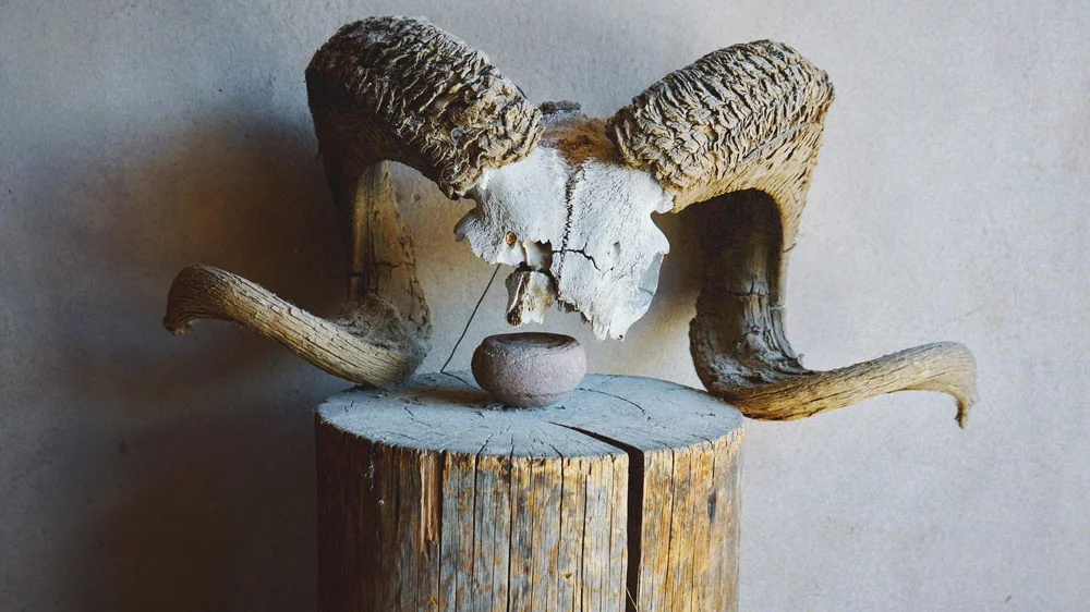 Georgia O'Keeffe's House | Artist M. Walker's photography