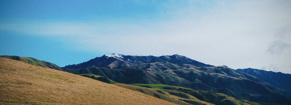 Big Sur | Artist M. Walker's photography