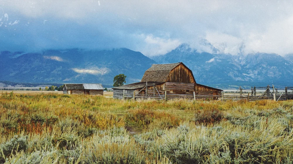 Mormon Row Historic District Teton National Park | Artist M. Walker's photography