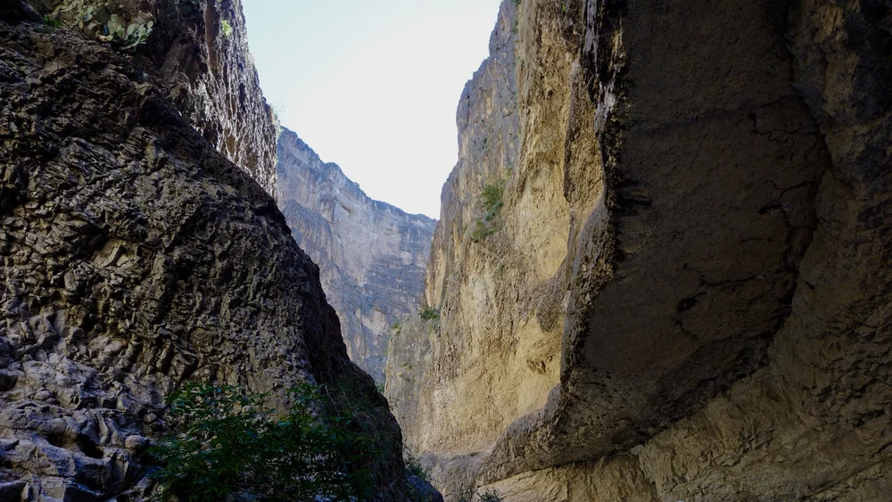 Fern Canyon Big Bend | Artist M. Walker's photography