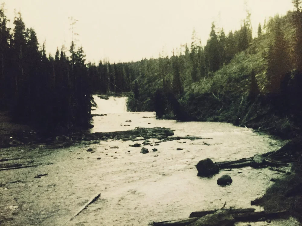 Yellowstone River | Artist M. Walker's photography