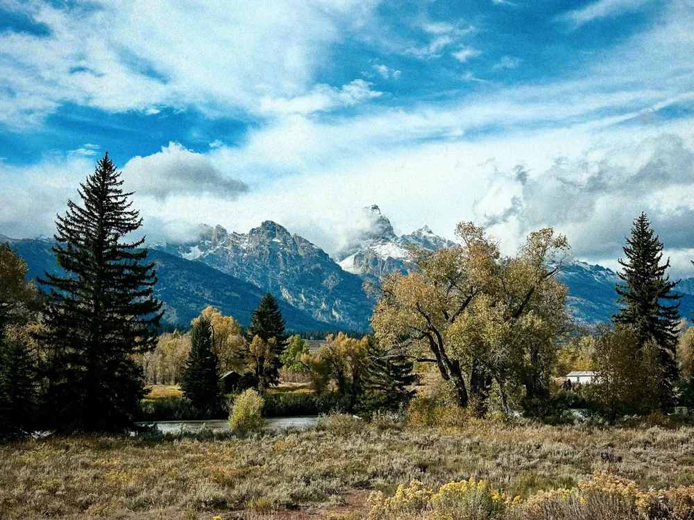 Teton National Park | Artist M. Walker's photography