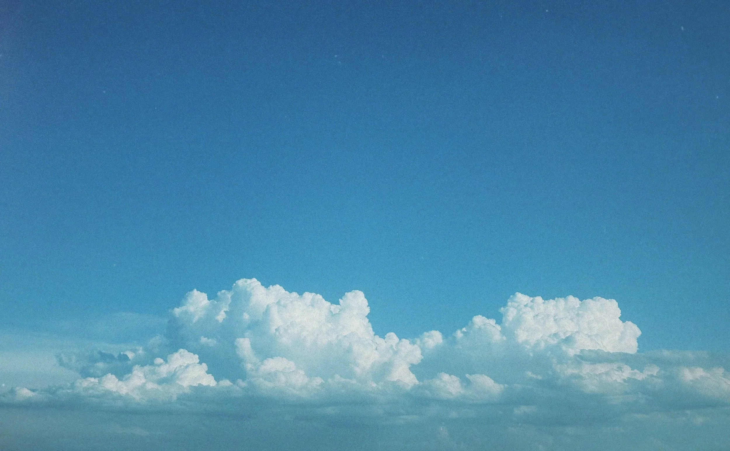 AC8BDA69-84E6-47D8-BD28-2770B473E55B.jpg