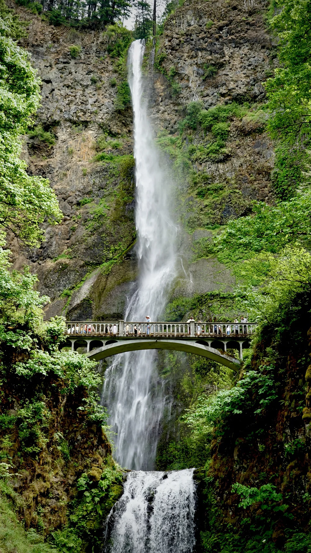 Multnoma Falls | Artist M. Walker's Photography