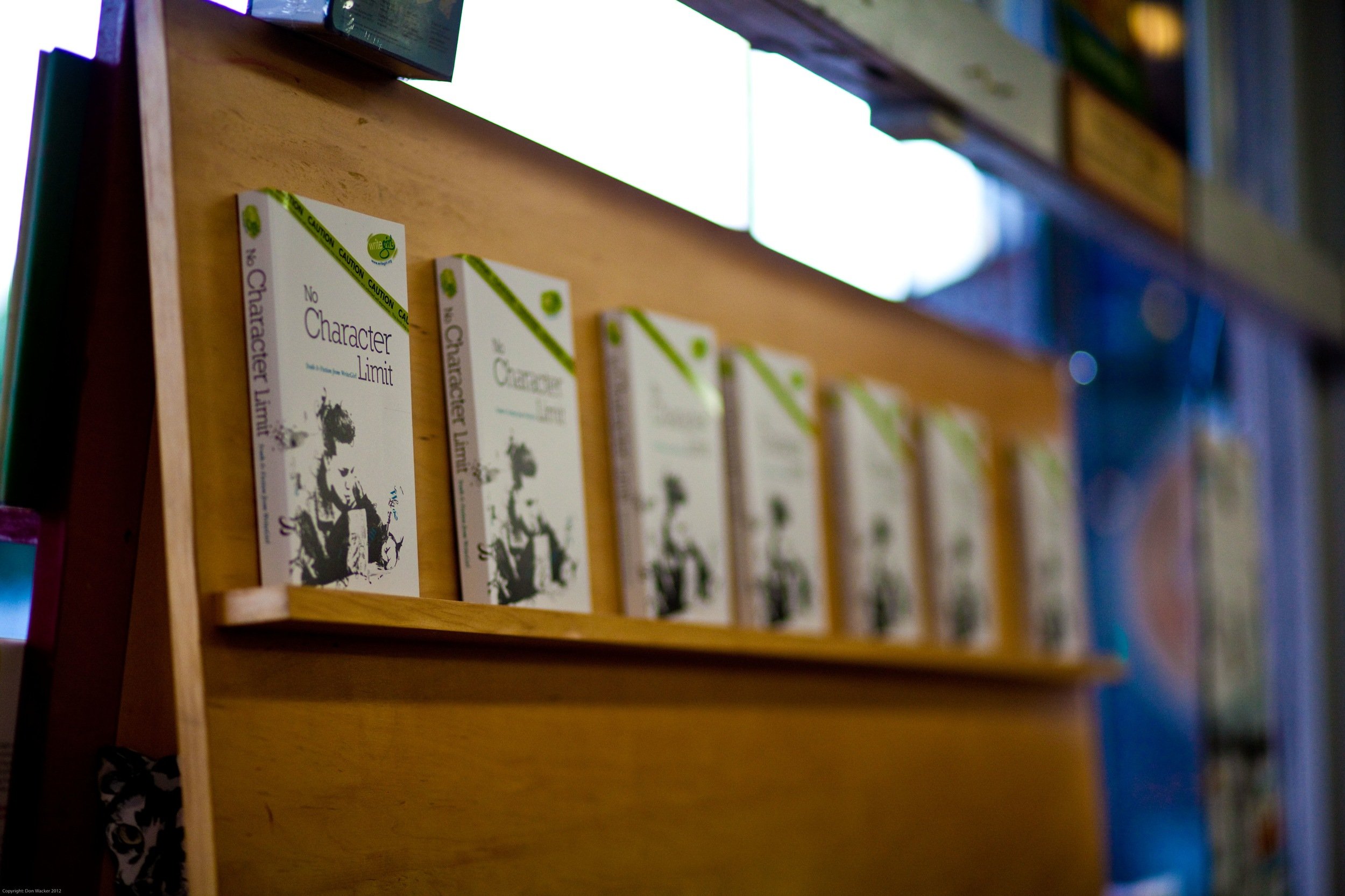 Skylight Books Public Reading for WriteGirl