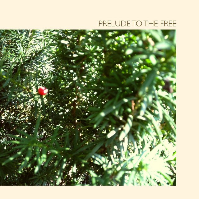 Prelude to the Free - NMH