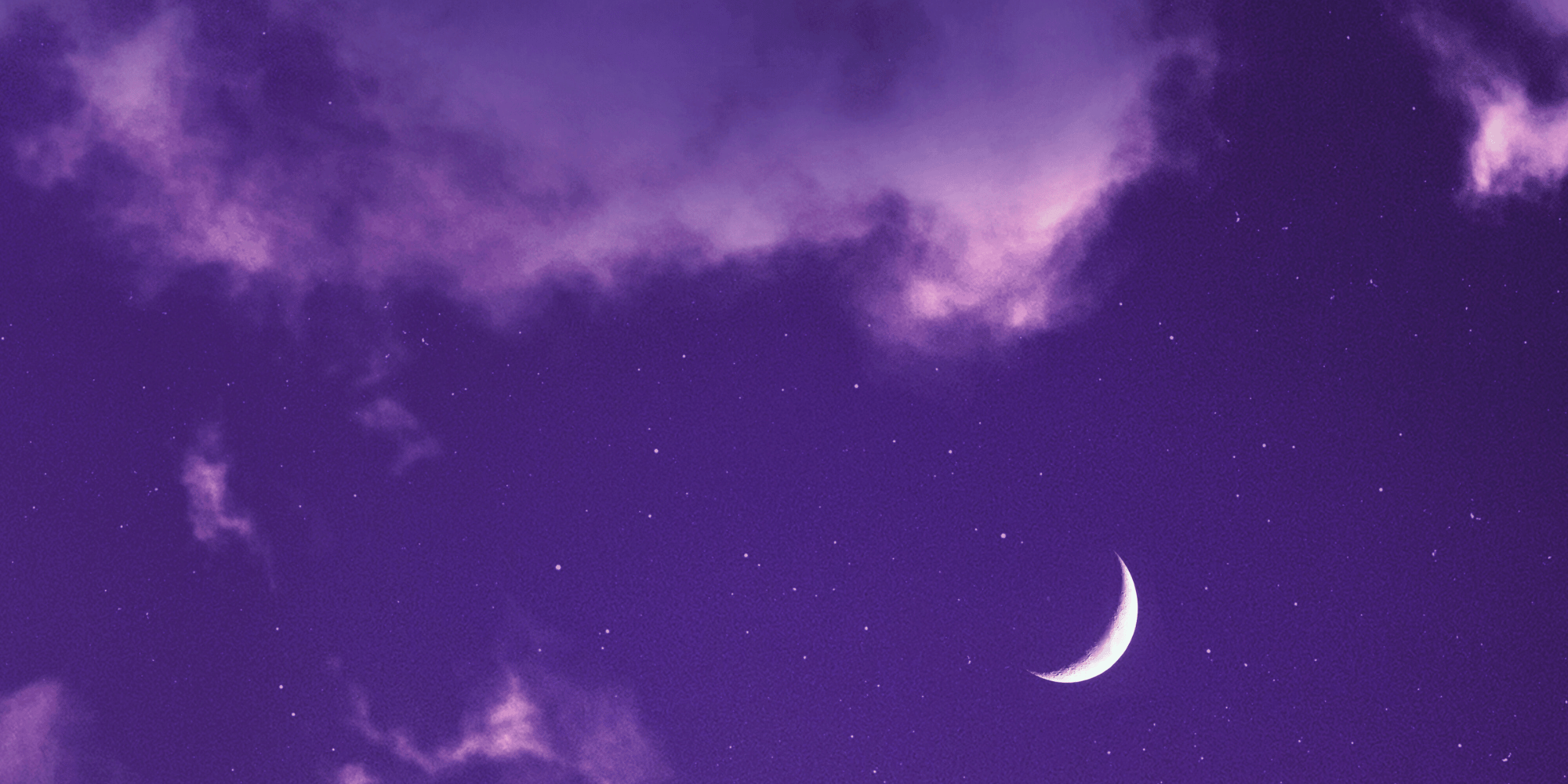 Web Banner Images (16).png