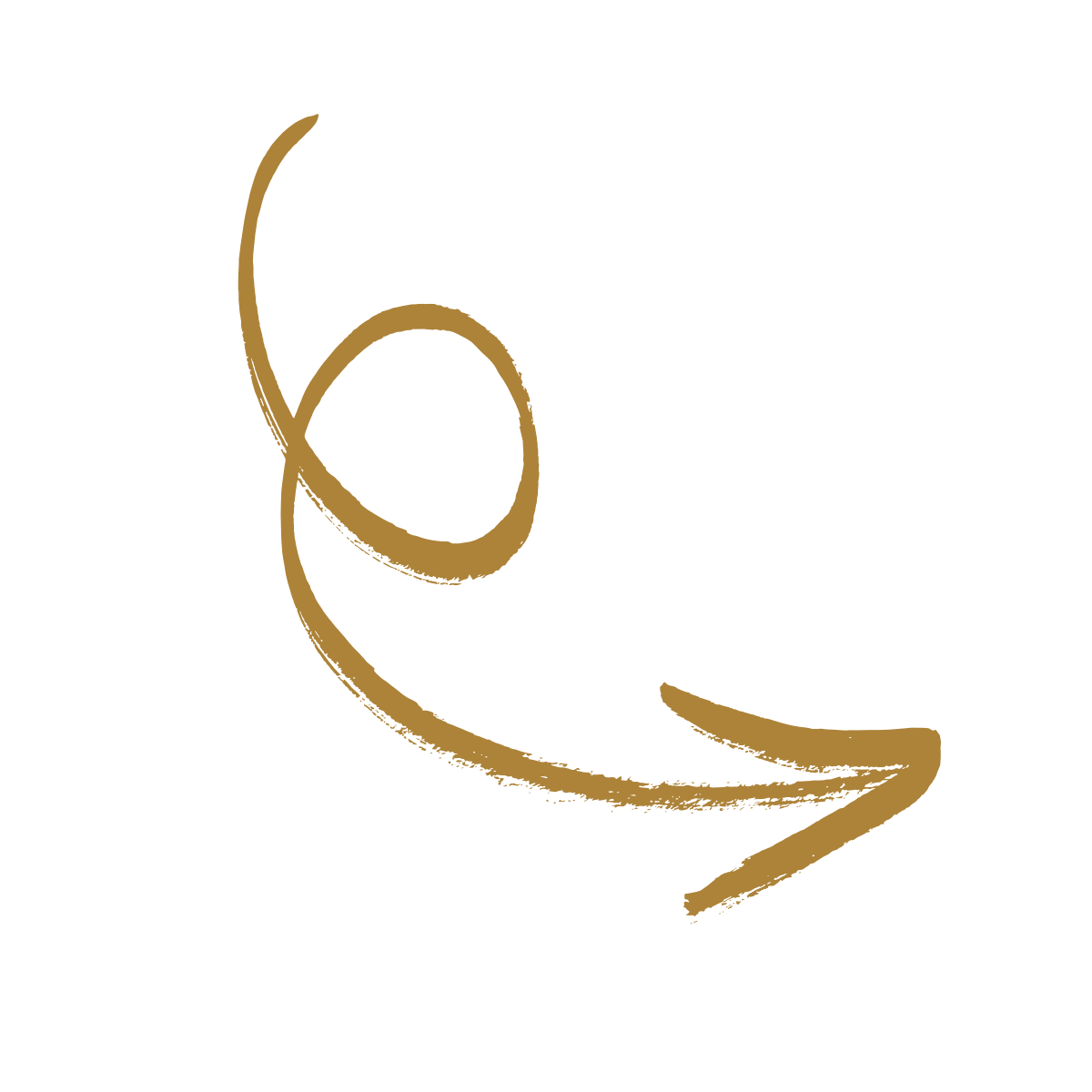 Elegant black and gold logo with flowing script and swirl design.