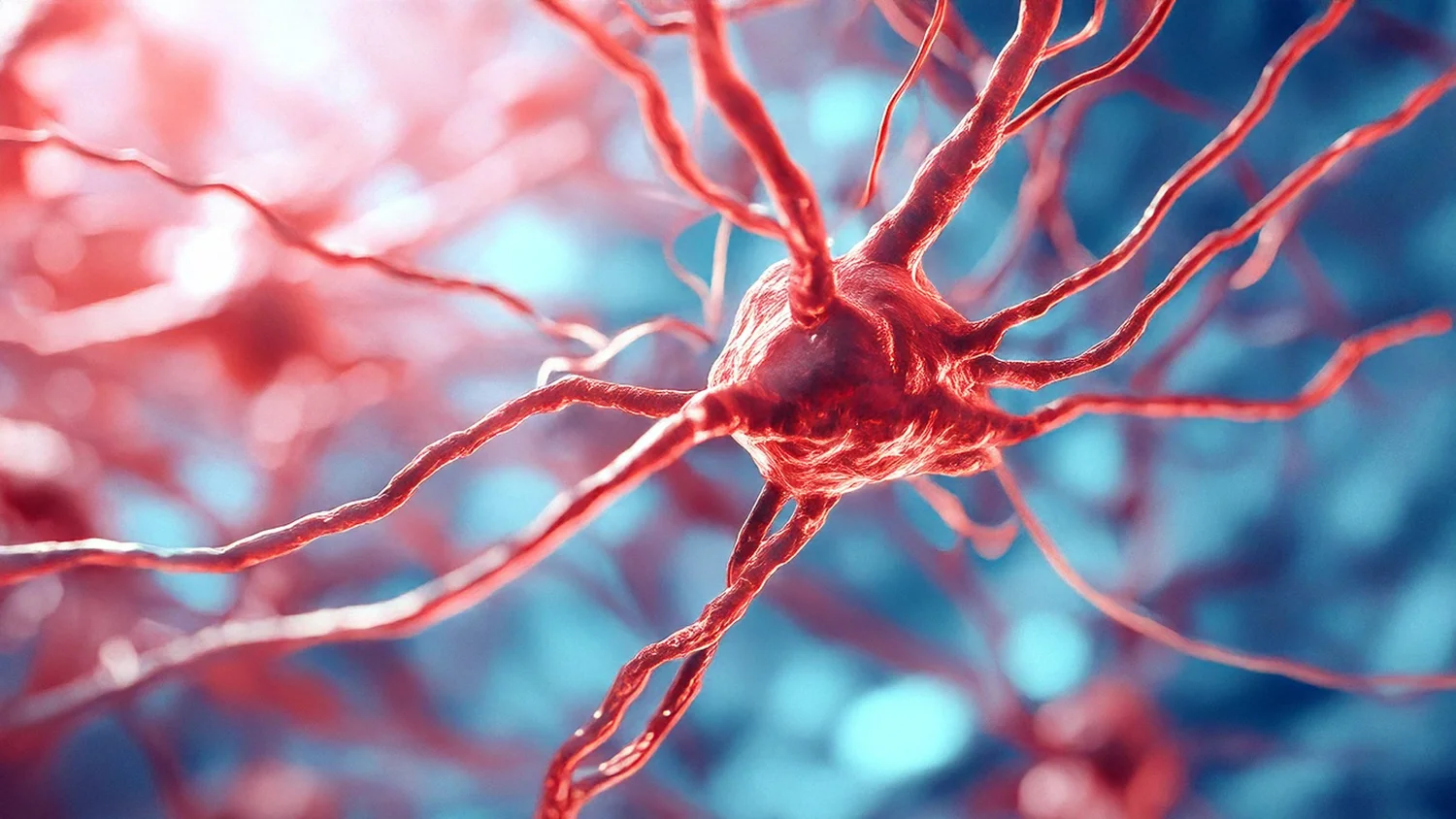 What is Scleroderma? — Steffens Scleroderma Foundation